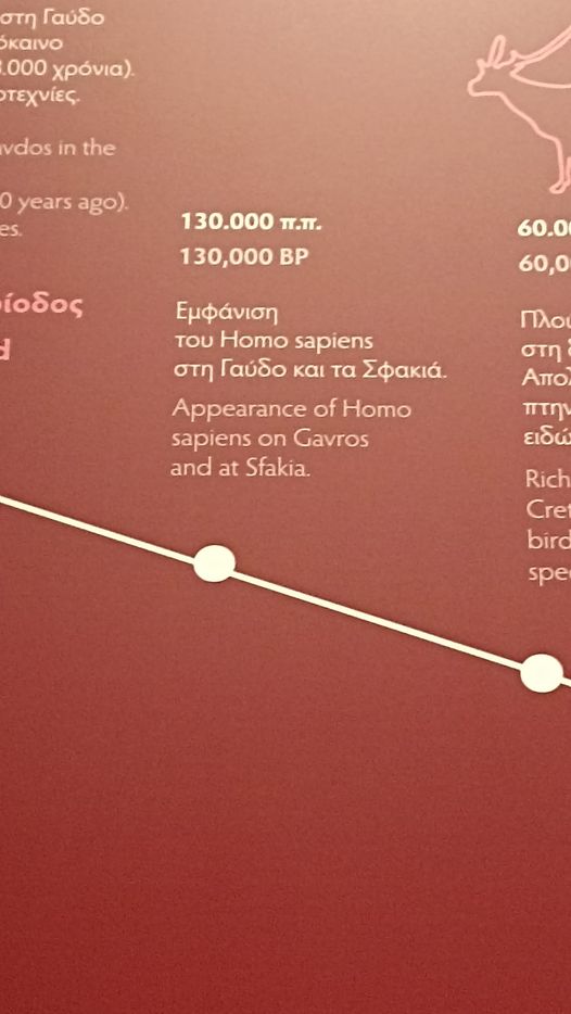 Γαύδος μαρινάτος (νέο αρχαιολογικό Μουσείο Χανίων(.jpg
