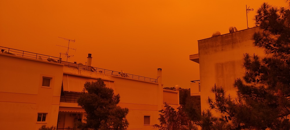 Σαχαρόσκονη-sm.jpg