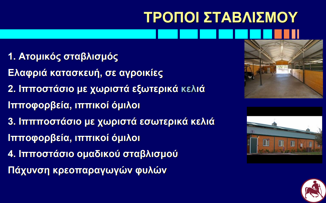 κελιά ιπποφορβείου.png