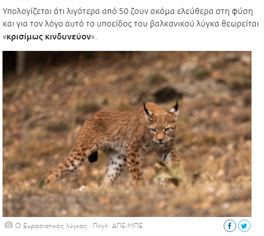 κρισίμως κινδυνεύον.png