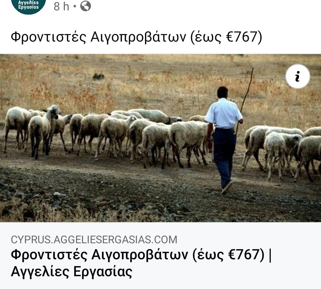 148506489_10159172109259120_8007447416001194575_o.jpg
