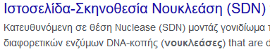 1619622289933.png