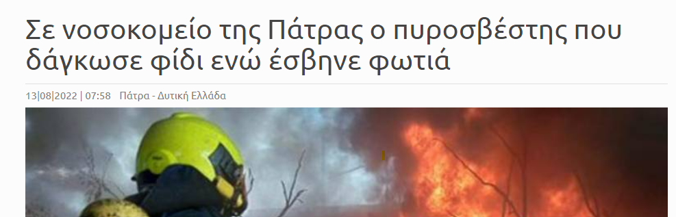 1660491838393.png
