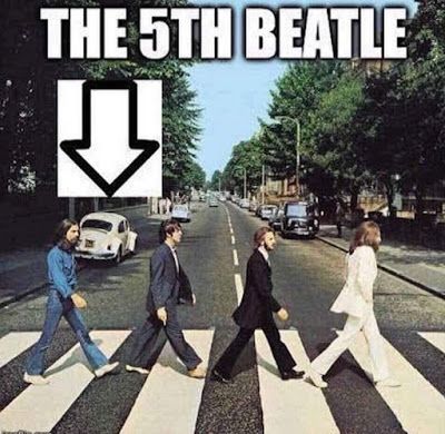 5th beetle.jpg