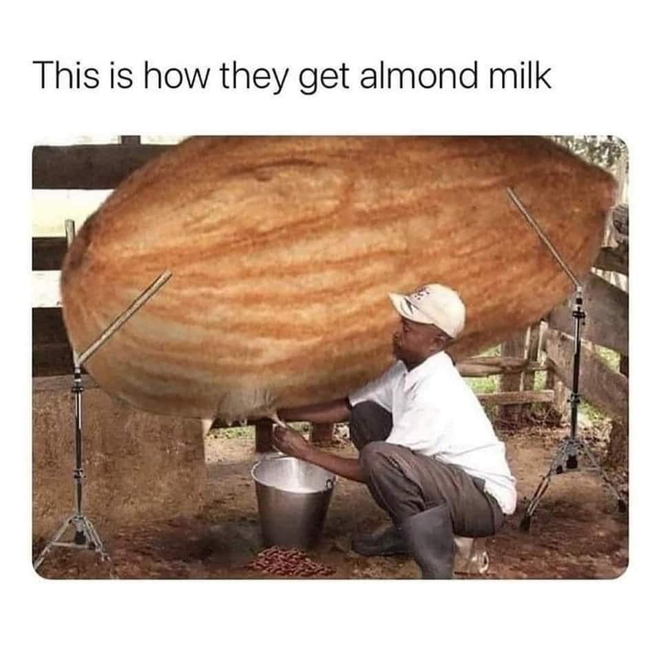 almond milk.jpg