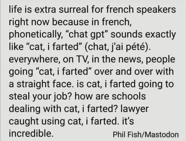 chat j'ai pete.jpg