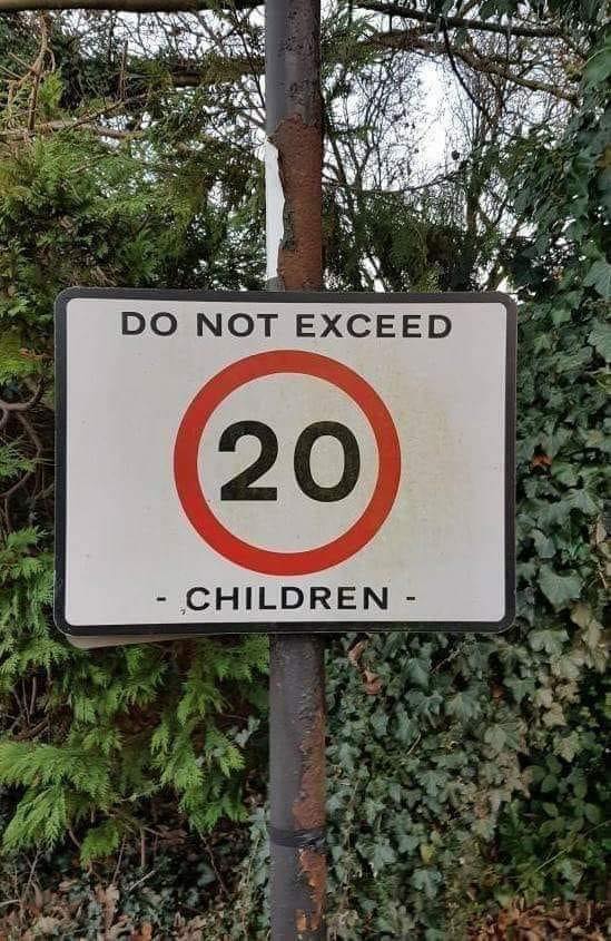 do not exceed 20 children.jpg