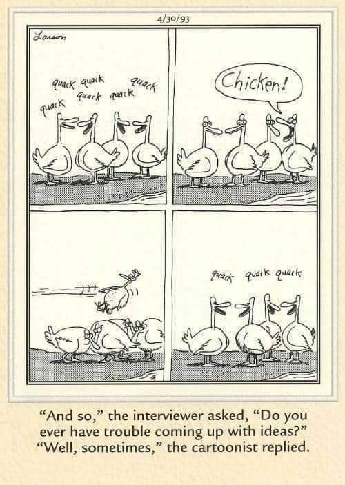duck.jpg