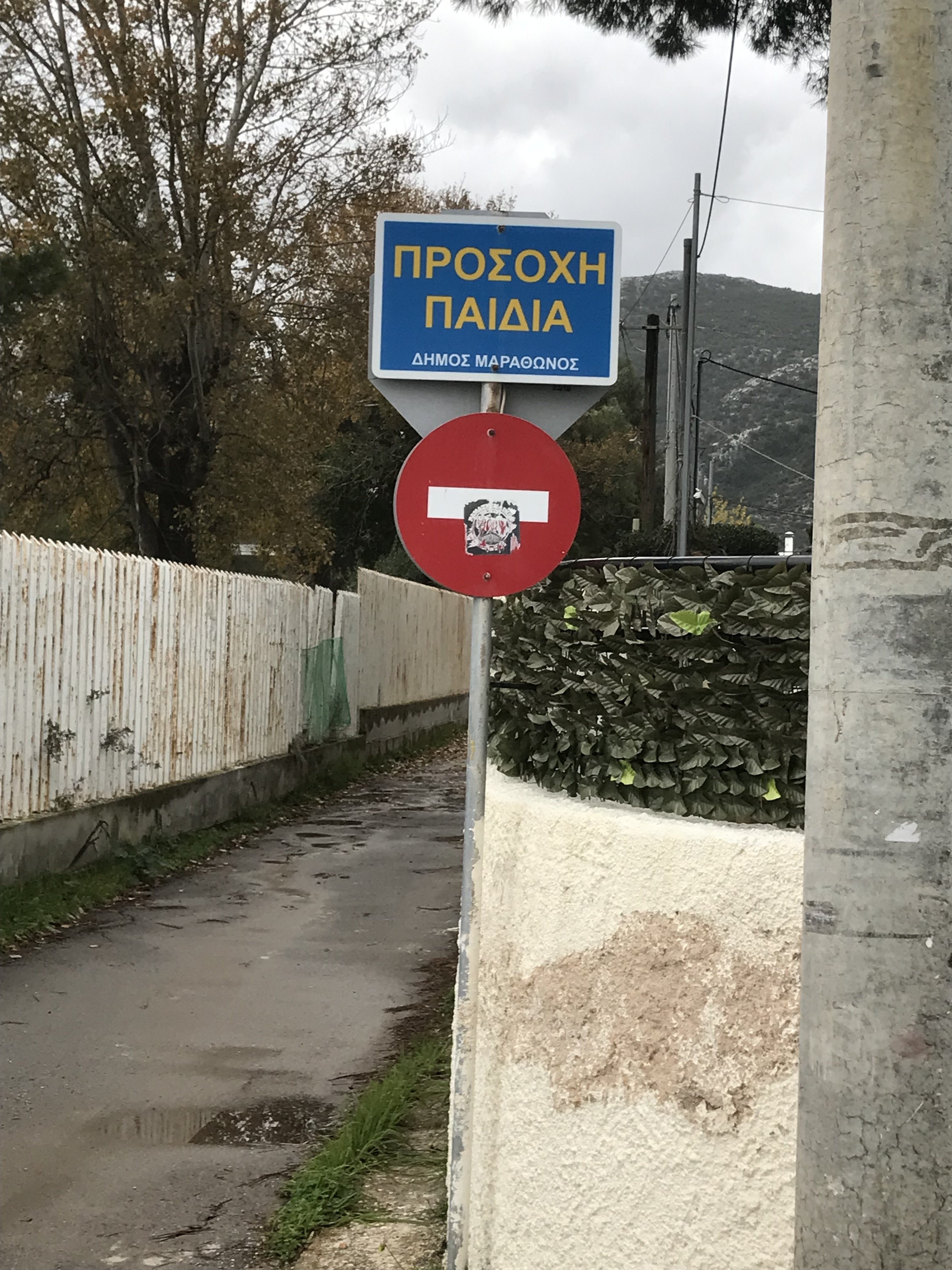 IMG_5622.jpeg