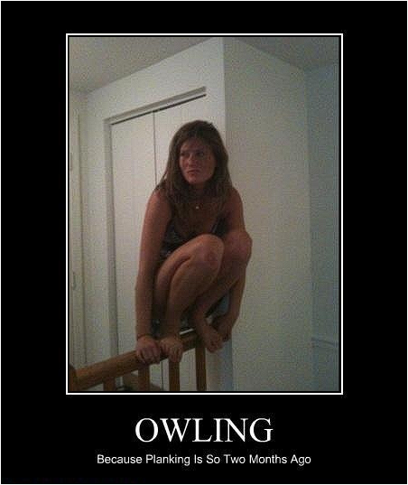 owling Screenshot 2025-12-11 210214.png