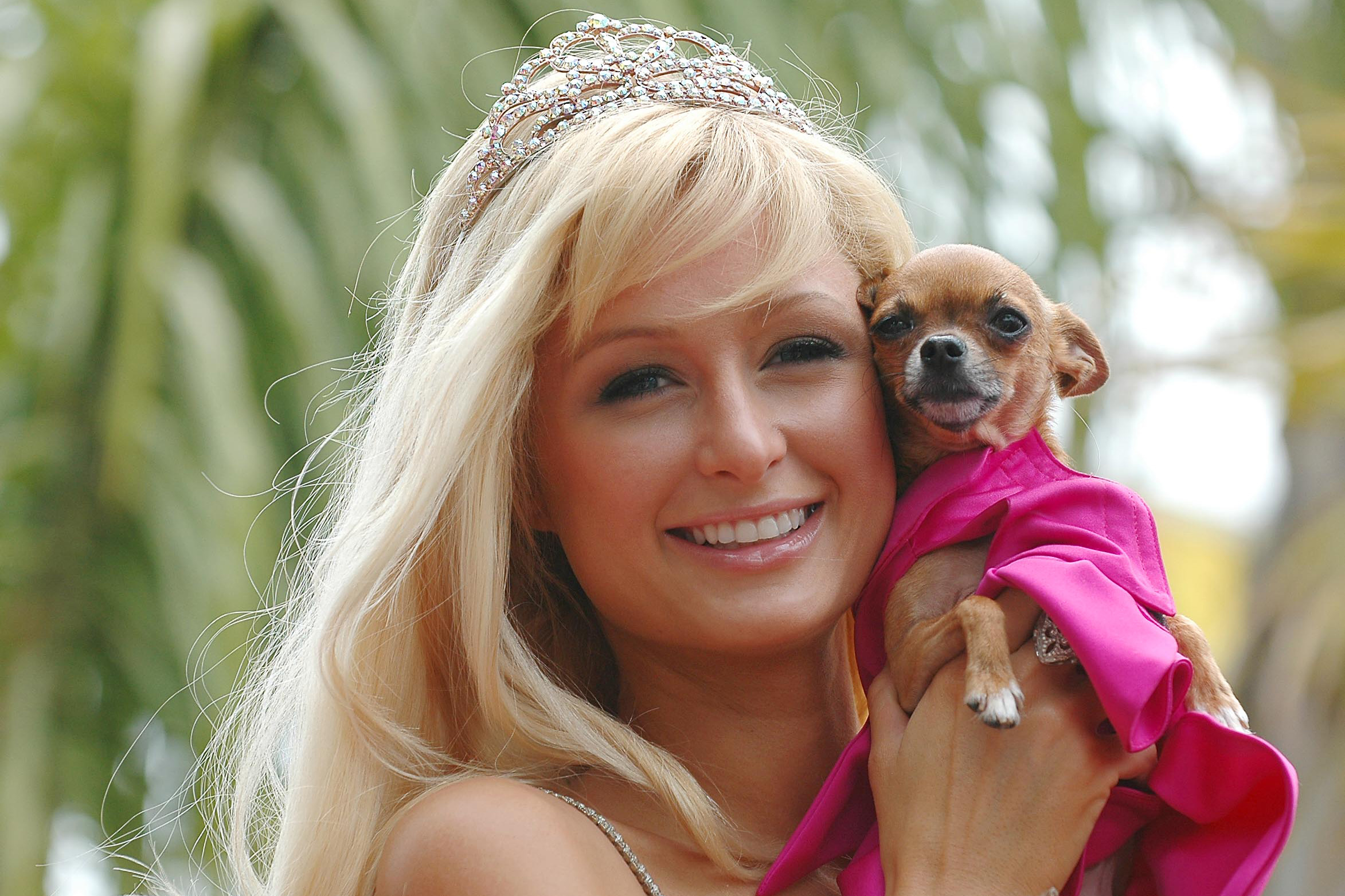 paris_hilton.jpg