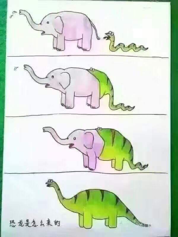 snake swallows elephant.jpg