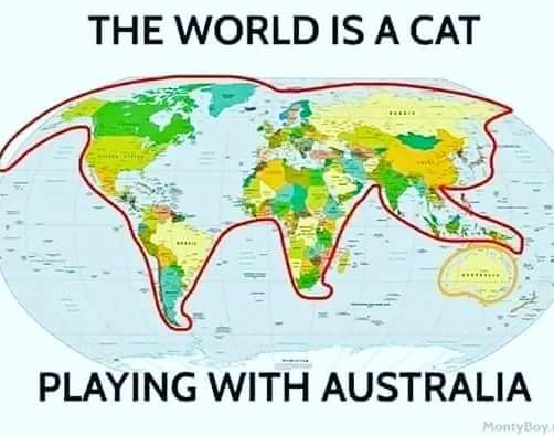 the world is a cat.jpg