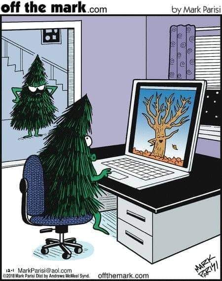 XXXmas tree.jpg