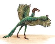 archaeopteryx.jpg