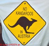 kangaroos.jpg