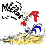 coq-francais-image-336608-article-ajust_650.jpg