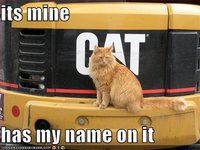 funny-pictures-your-cat-owns-a-large-truck.jpg
