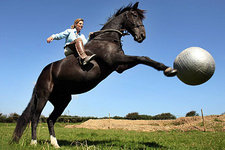 Horse+Soccer.jpg