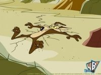 cr_mega_38_wallpapers_wile-e-coyote_04_800.jpg