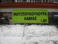 lamia1206mustukulura.jpg