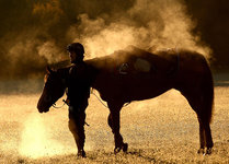 horse-steam_1746160i.jpg