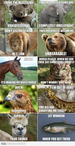 animal talk.jpg