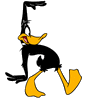daffyduck.gif