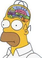 HomerSimpsonsBrain.JPG