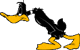 daffyduck2-p.gif