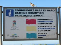 DSCN0331.jpg