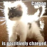 cat-ion.jpg