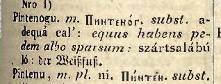 pintenogu.JPG
