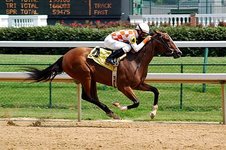 440px-Horseracing_Churchill_Downs.jpg