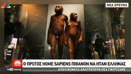 home sapiens.jpg