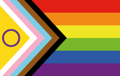 Intersex-inclusive_pride_flag.svg.png