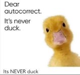 autocorrect duck.jpg