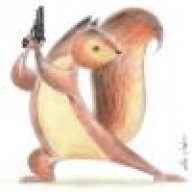 Squirrel